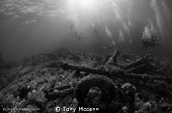 Early morning dive on Shark and Yolanda. by Tony Mccann 